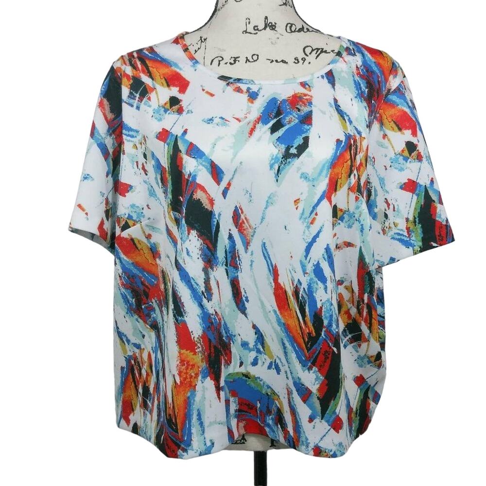 Chelsea & Theodore  Multicolor Scuba Artsy Colorful Top Size 2X